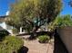 Backyard with a mature tree providing ample shade and rock groundcover, enhanced by green shrubbery at 7461 Tahoe Basin Dr, Las Vegas, NV 89129