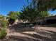 Beautiful backyard with rock groundcover, a mature tree, and raised garden beds offers a peaceful retreat at 7461 Tahoe Basin Dr, Las Vegas, NV 89129