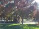 Community playground surrounded by lush greenery and mature trees, perfect for Gathering fun at 8205 Celina Hills St, Las Vegas, NV 89131