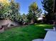 Beautifully landscaped back yard featuring lush green grass and mature trees and greenery at 8690 W Ford Ave, Las Vegas, NV 89148