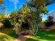 Beautiful backyard with mature trees and a small patio at 8690 W Ford Ave, Las Vegas, NV 89148