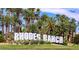The 'Rhodes Ranch' sign is framed by lush palm trees and manicured grounds in a park setting at 115 Cora Hills Ct, Las Vegas, NV 89148