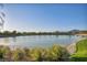 Scenic view of a pond surrounded by lush greenery, mountains visible in distance at 1152 Pine Cove Ct, Henderson, NV 89011