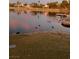 Enjoy the scenic pond with wildlife at sunset at 2608 Port Of Call Dr, Las Vegas, NV 89128