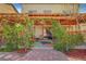Charming backyard patio covered with plants and flowers at 3744 Alpine Bypass Ave, North Las Vegas, NV 89081
