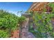 Backyard features garden with landscaped pathway and shady trees at 3744 Alpine Bypass Ave, North Las Vegas, NV 89081