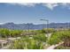 A distant mountain view of the landscape is dotted with trees and modern street lamps at 11913 Alava Ave, Las Vegas, NV 89138