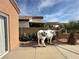 Backyard with a decorative cow statue, desert plants, and a pergola in the distance at 1210 Country Club, Laughlin, NV 89029