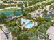 Overhead view of a community pool area with lounge chairs and palm trees, providing a relaxing outdoor space at 2050 W Warm Springs Rd # 1822, Henderson, NV 89014