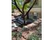 Charming front entrance with desert landscaping and an inviting walkway at 232 Morgyn Ln # 6, Boulder City, NV 89005