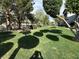 Well-maintained green space featuring mature trees and lush lawn area at 45 Maleena Mesa St # 1321, Henderson, NV 89074