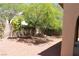 Backyard featuring low-maintenance landscaping, mature trees, and a block wall at 932 Tafalla Ct, Las Vegas, NV 89138