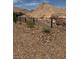 Backyard landscape featuring desert and mountain views at 138 Crimson Cactus Ave, Henderson, NV 89011