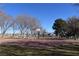 Outdoor basketball court surrounded by trees and green grass on a sunny day at 2305 Flower Spring St, Las Vegas, NV 89134