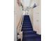Carpeted staircase with a chair lift, decorated with birdcage accents, leading to the upper level at 2305 Flower Spring St, Las Vegas, NV 89134