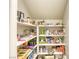 Organized walk-in pantry with functional shelving, providing plenty of storage space at 253 Malpaso St, Las Vegas, NV 89138
