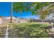 Large backyard boasts lush grass, mature trees, and block wall fencing for privacy at 4212 Herblinda Ln, North Las Vegas, NV 89032