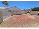 Backyard showcasing a desert landscape with palm trees and a storage shed against a walled fence at 7417 Red Eagle St, Las Vegas, NV 89131