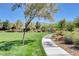 Beautiful community park with mature trees, lush green grass, walking path, and stunning mountain views on a clear day at 8811 Pauley Hills St, Las Vegas, NV 89131