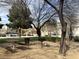 A picturesque picnic area is complemented by mature trees and green space, creating a serene environment at 9535 Leaping Lizard St, Las Vegas, NV 89178