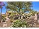 Charming backyard with a large shade tree, desert landscaping, and patio seating area at 10290 Profeta Ct, Las Vegas, NV 89135