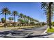 Serene neighborhood street lined with lush palm trees and well-maintained landscaping at 10290 Profeta Ct, Las Vegas, NV 89135