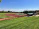 Manicured community baseball field surrounded by lush green grass and protective fencing at 10921 Grand Haven Ave, Las Vegas, NV 89134