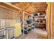 Functional shed interior with shelving and organized storage solutions at 2447 Tournament St, Las Vegas, NV 89142