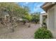 Low maintenance backyard with desert landscaping and mature trees at 2969 Sumter Valley Cir, Henderson, NV 89052