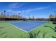Well-maintained tennis court with professional surfacing and full net, perfect for recreational games at 667 Palisade Rim Dr, Henderson, NV 89012