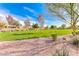 Vibrant green space adorned with trees and landscaping, providing a peaceful and visually appealing community setting at 689 Silver Pearl St, Henderson, NV 89002