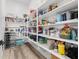 Walk-in pantry with ample shelving and storage space for food and household items at 746 Purple Knoll Walk, Henderson, NV 89011