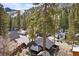 Charming mountain home nestled amongst the trees with mature landscaping and a metal roof at 4578 Yellow Pine Ave, Mount Charleston, NV 89124