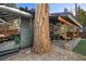 Unique home exterior featuring a large tree, deck, and cozy seating areas at 4578 Yellow Pine Ave, Mount Charleston, NV 89124