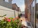Cozy backyard featuring a stone walkway, flowering plants and a private fence, perfect for outdoor relaxation at 5271 Aurora Beam Ave, Las Vegas, NV 89122