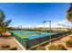 Well maintained pickleball courts with lighting; a place for recreational play in a private setting at 1624 Preston Park Dr, Henderson, NV 89052