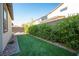 View of the backyard with artificial turf, trimmed hedges and stone landscaping along the fence at 2510 Verdello St, Henderson, NV 89044