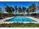 Community swimming pool perfect for laps with sun umbrellas and trees at 2510 Verdello St, Henderson, NV 89044