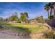Lush backyard with mature trees and plenty of space for outdoor activities at 3100 Garehime St, Las Vegas, NV 89108