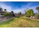 Lush backyard with mature trees, green lawn, and landscaping at 3100 Garehime St, Las Vegas, NV 89108