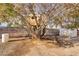A charming treehouse built amongst the trees provides a whimsical addition to the backyard at 3100 Garehime St, Las Vegas, NV 89108