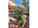 Well-maintained yard featuring gravel landscaping, pink flowering bushes, and mature trees offering natural shade at , Las Vegas, NV 89118