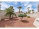 Well-maintained backyard features desert landscaping, mature trees, and a serene outdoor space at 3239 Robins Creek Pl, Las Vegas, NV 89135