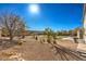 Spacious backyard with desert landscaping, mature trees, and a covered patio, perfect for outdoor living at 6971 Cedar Basin Ave, Las Vegas, NV 89142