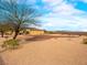 Expansive backyard featuring desert landscaping and mature trees, with mountain views at 6982 Mirkwood Ave, Las Vegas, NV 89178