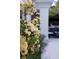 Lovely exterior detail shot with yellow flowers in bloom against a neutral-toned building at 1309 Reisling Ct, Las Vegas, NV 89144