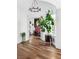 Foyer with curved wall, wood floors, chandelier and decorative plant at 1309 Reisling Ct, Las Vegas, NV 89144