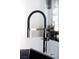 Close-up of modern black and silver kitchen faucet at 1309 Reisling Ct, Las Vegas, NV 89144