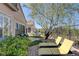 Beautiful backyard with multiple seating areas, lush plants and lounge chairs at 1372 Couperin Dr, Henderson, NV 89052