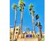 Colorado Bay Club community entrance sign with tall palm trees against a clear blue sky at 2232 Aspen Mirror Dr # 203, Laughlin, NV 89029